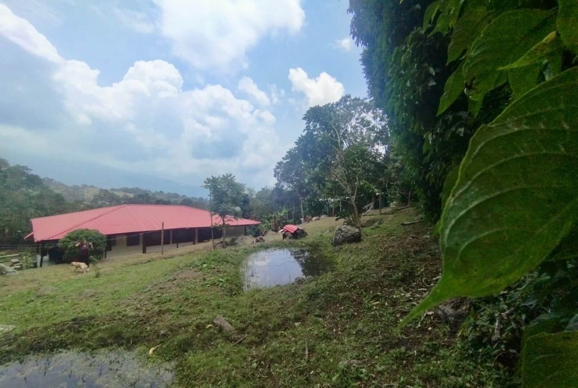 Finca en San Antonio del Tequendama