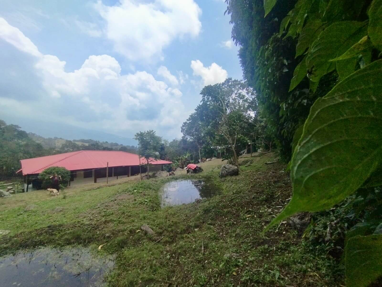 FincaSanAntonio – 14 Finca en San Antonio del Tequendama