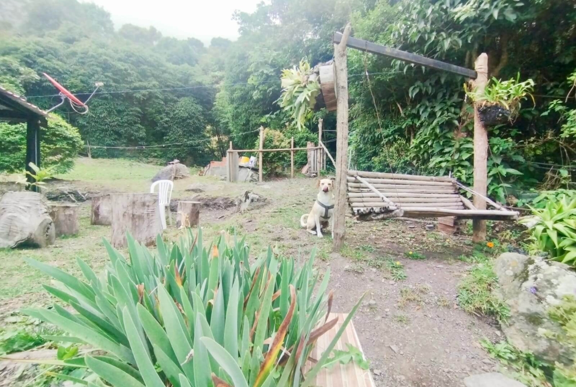 Finca en San Antonio del Tequendama