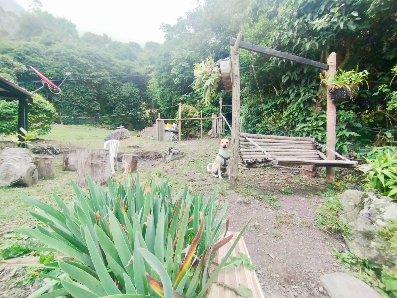 FincaSanAntonio – 17 Finca en San Antonio del Tequendama