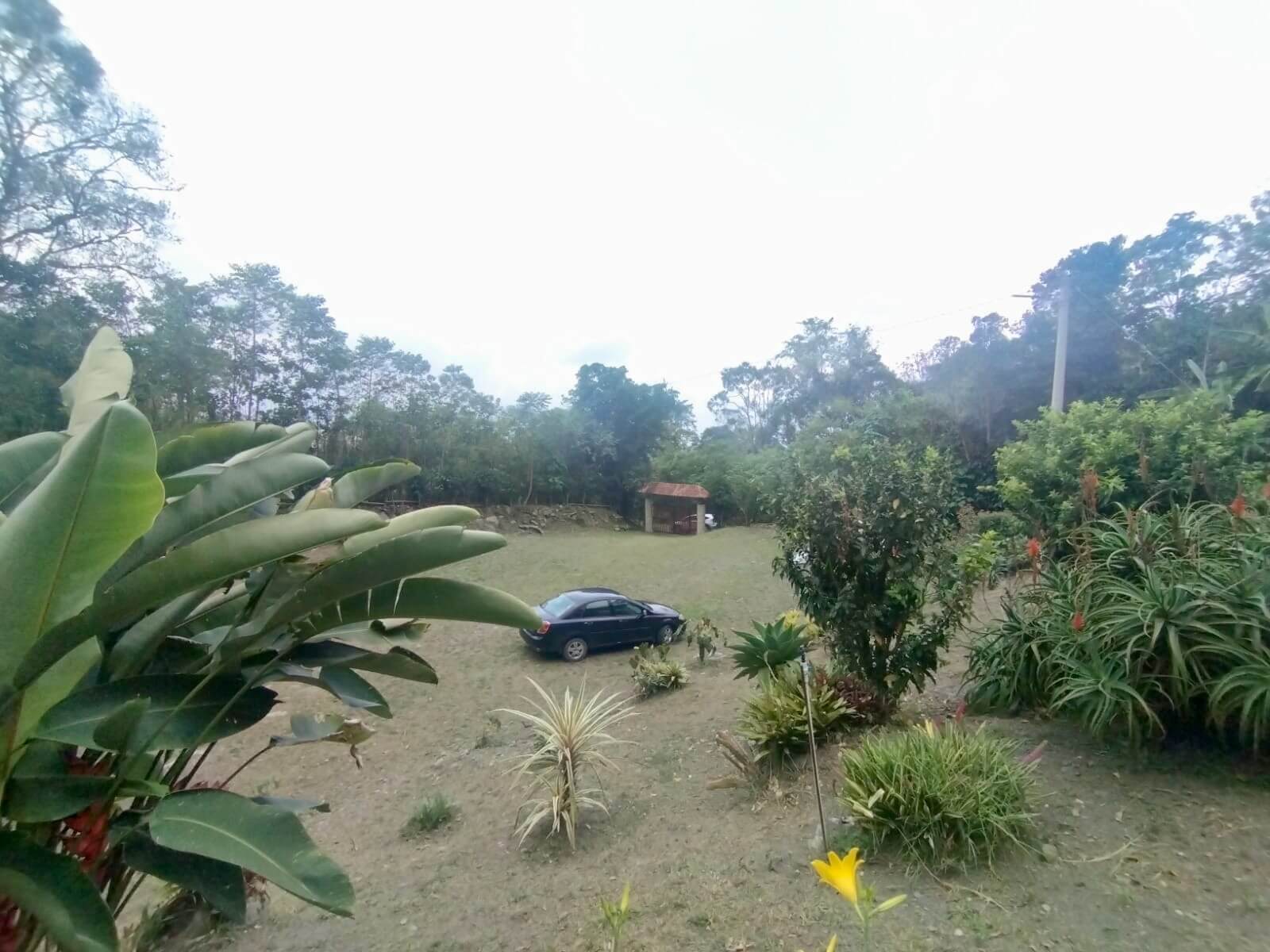 FincaSanAntonio – 18 Finca en San Antonio del Tequendama