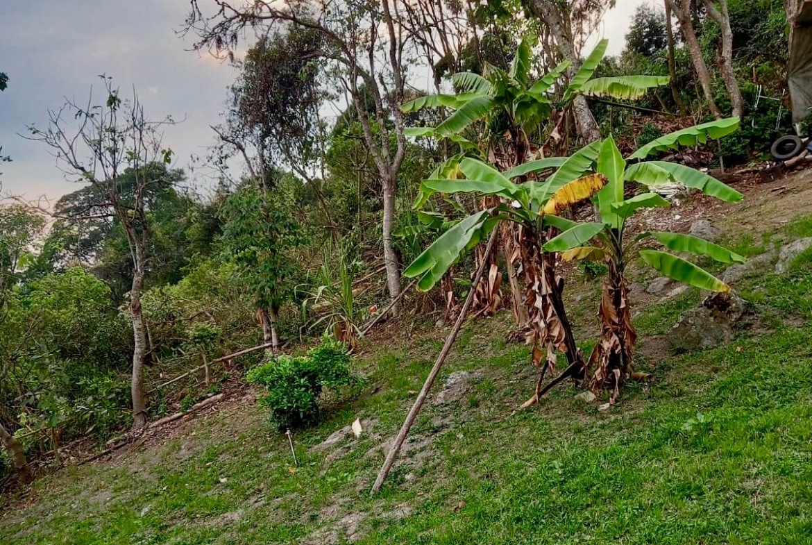 Finca en San Antonio del Tequendama