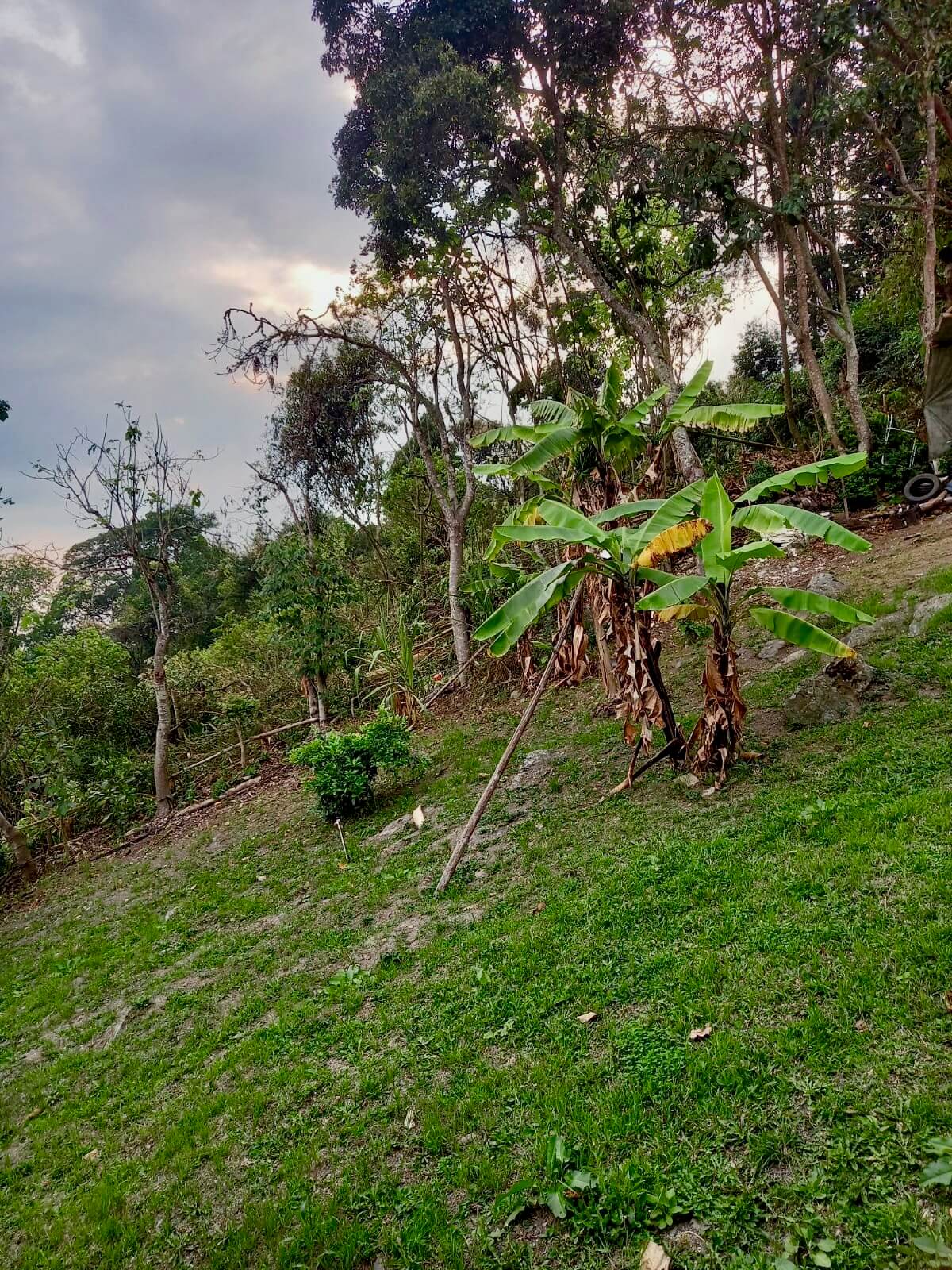 FincaSanAntonio – 29 Finca en San Antonio del Tequendama