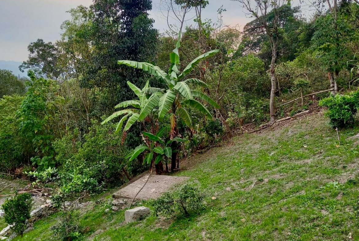 Finca en San Antonio del Tequendama