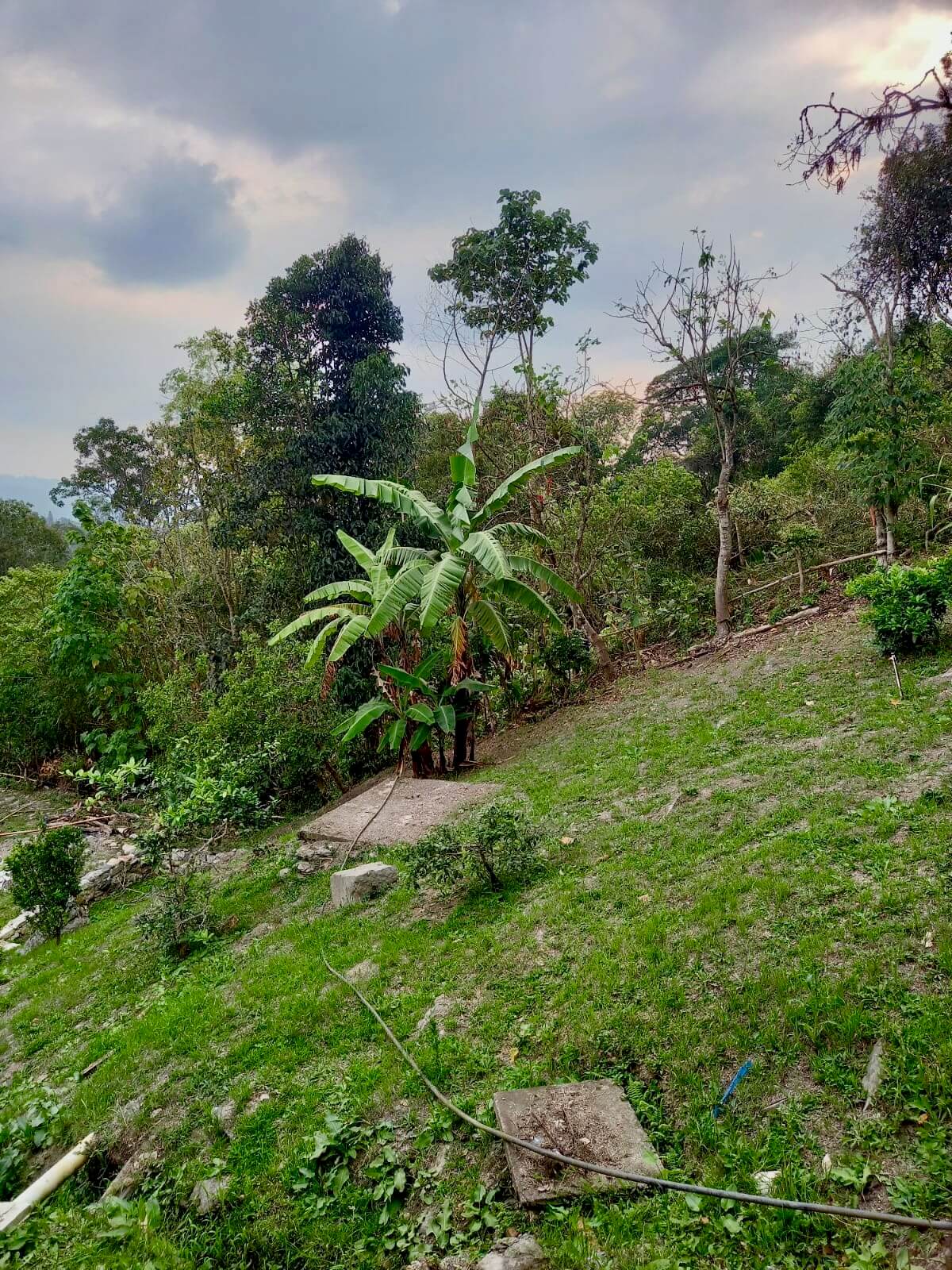 FincaSanAntonio – 30 Finca en San Antonio del Tequendama